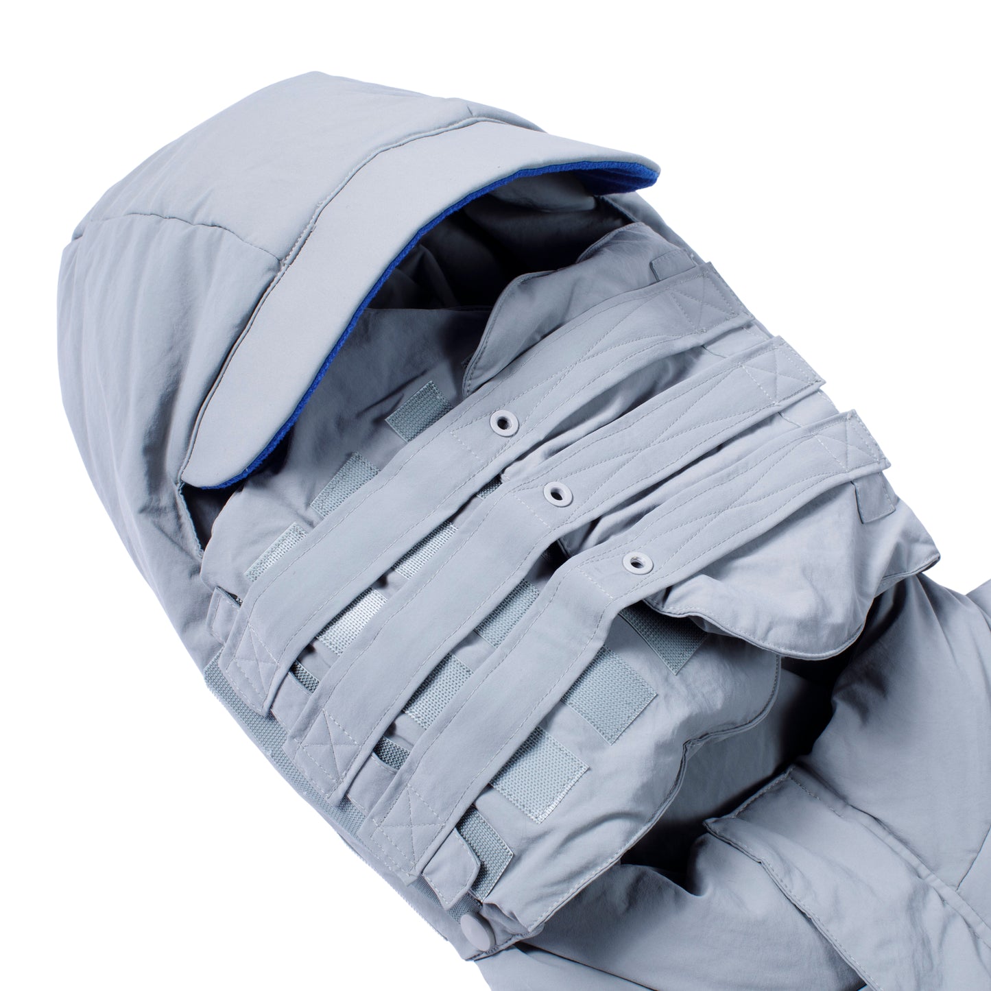 Armored Puffer